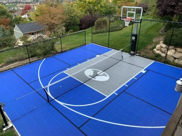 Dominator 60 Inch Basketball Hoop 10 Dominator 60 Inch Basketball Hoop